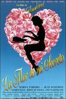 La flor de mi secreto  - Poster / Imagen Principal