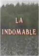 La indomable (Serie de TV) (TV Series)