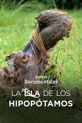 La isla de los hipopótamos (TV)