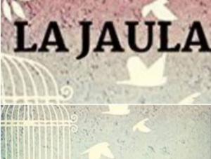 La jaula (TV Series)