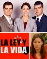 La ley y la vida (Serie de TV) - Poster / Imagen Principal