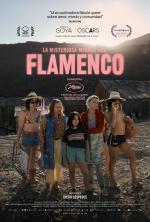 La misteriosa mirada del flamencoLa misteriosa mirada del flamenco