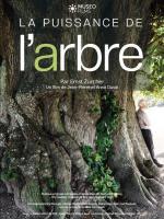 La Puissance de l’arbre avec Ernst Zürcher 