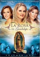 La Rosa de Guadalupe (Serie de TV) - Dvd