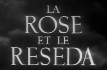 Image gallery for La rose et le réséda (S) - FilmAffinity