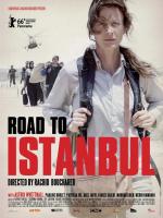 Camino a Estambul 