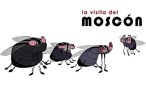 La visita del moscón (S)