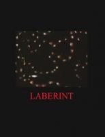 Laberint (C) - Poster / Imagen Principal