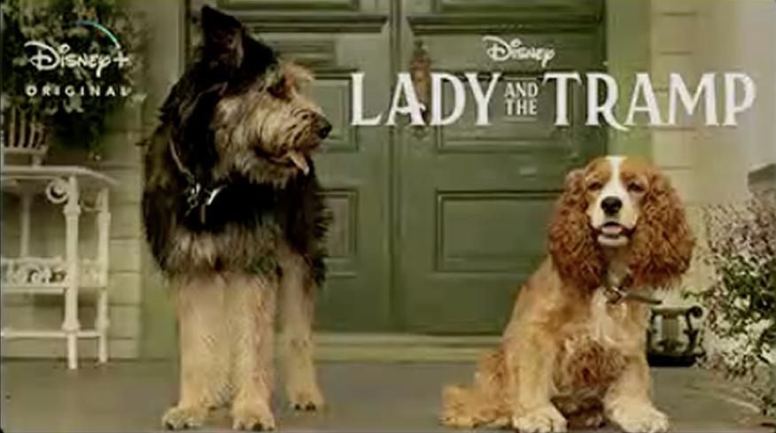 Dama (Lady), do filme A Dama e o Vagabundo, que protagoniza uma das cenas  românticas mais icônicas dos filmes da Disney. Ah, a vontade de dividir  um, By Gartic