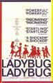 Ladybug Ladybug 