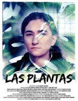 Las plantas  - Posters