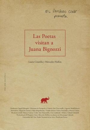 Las poetas visitan a Juana Bignozzi 