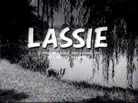 Lassie (Serie de TV) - Fotogramas