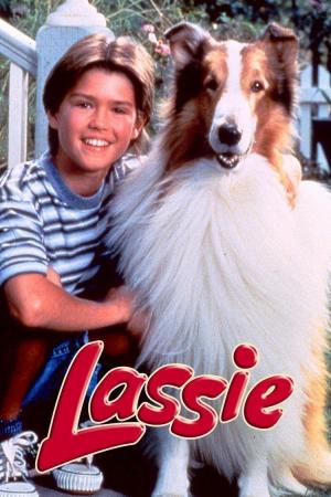 Lassie Web: Movies and Other Media