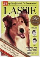 Lassie (Serie de TV) - Poster / Imagen Principal