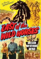 Last of the Wild Horses  - Poster / Main Image