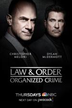 Law & Order: Organized Crime (Serie de TV)