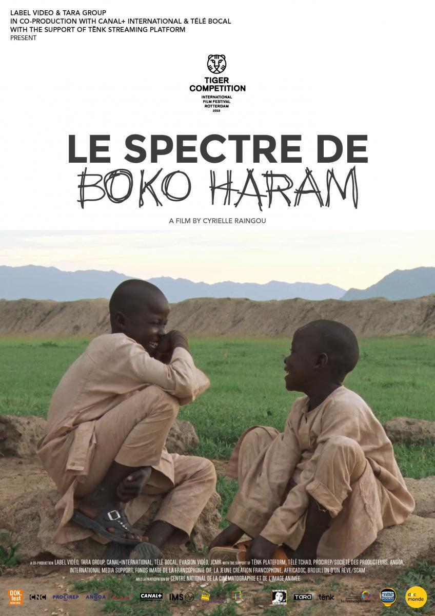 The Spectre Of Boko Haram 