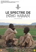 The Spectre Of Boko Haram 
