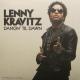 Lenny Kravitz: Dancin' Till Dawn (Music Video)