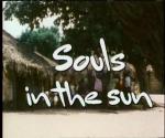Souls in the Sun 