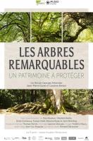 Les arbres remarquables - Un patrimoine à protéger  - 