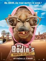 Les Bodin's partent en vrille  - Posters
