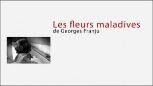 Les fleurs maladives de Georges Franju 