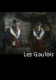 Les Gaulois (C)
