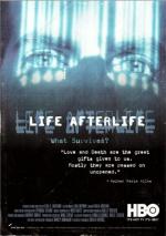 Vida después de la vida (TV)