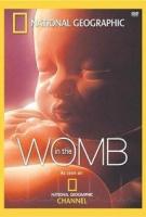 Life Before Birth (TV) - Poster / Main Image