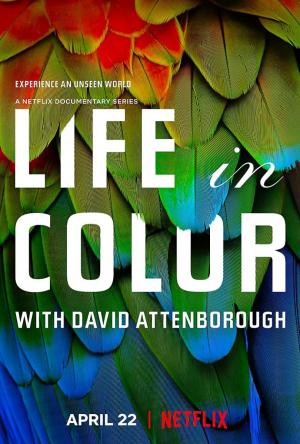 La vida a todo color, con David Attenborough (Serie de TV)