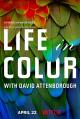 La vida a color con David Attenborough (Serie de TV)