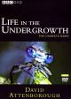 Life in the Undergrowth (TV Miniseries)