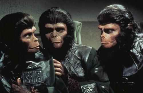 Life, Liberty and Pursuit on the Planet of the Apes (TV) - Stills