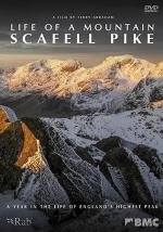 Life of a Mountain: A Year on Scafell Pike 