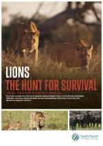 Lions: The Hunt for Survival (TV)