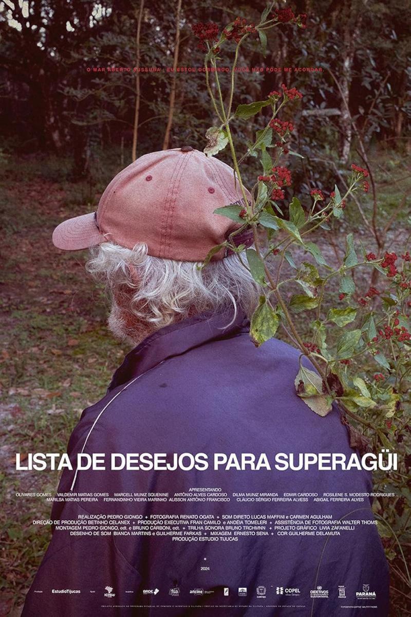 Lista de desejos para Superagüi 