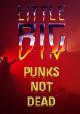 Little Big: Punk's Not Dead (Vídeo musical)