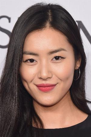 Liu Wen