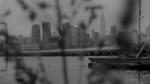 Long for the City (Patti Smith in New York) (S)