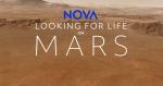Buscando vida en Marte 