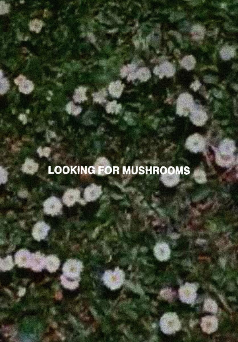 Looking for Mushrooms (C)