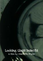 Looking Glass Insects (C)