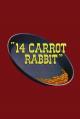 14 Carrot Rabbit (S)