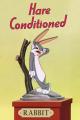 Looney Tunes: Hare Conditioned (S)