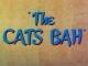 The Cats Bah (S)