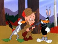 Bugs Bunny: Temporada de caza (C) - Fotogramas
