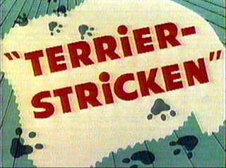 Terrier-Stricken 