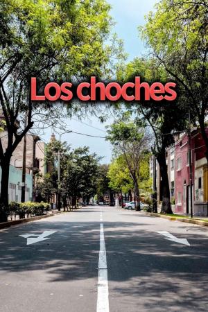 Los Choches (Serie de TV)